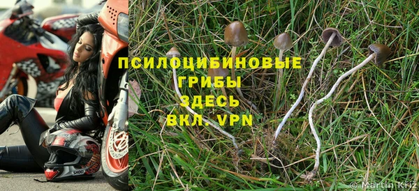 MDMA Premium VHQ Коряжма