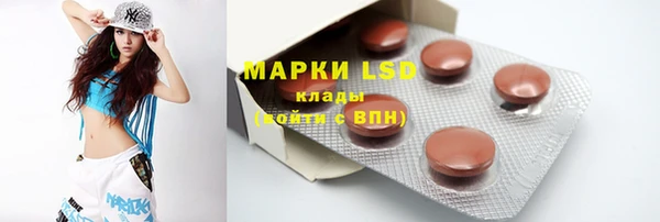 PSILOCYBIN Корсаков