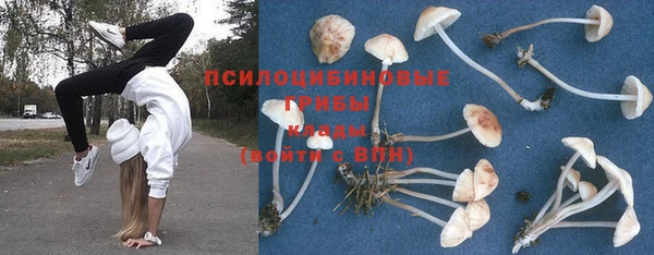 трава Костерёво