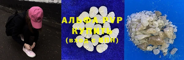 PSILOCYBIN Корсаков