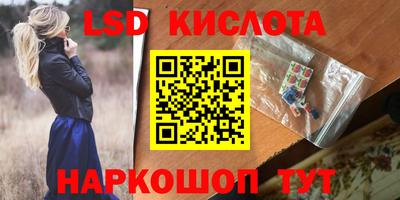 apvp Гатчина