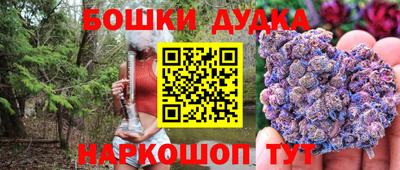 apvp Гатчина
