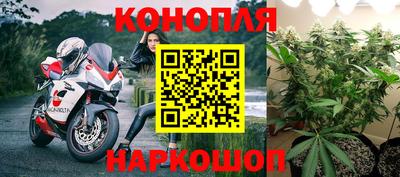 apvp Гатчина