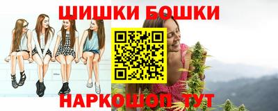 apvp Гатчина