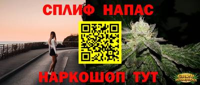 apvp Гатчина