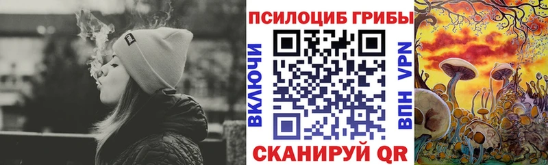 Псилоцибиновые грибы Psilocybine cubensis  OMG ссылки  Карпинск  где купить  