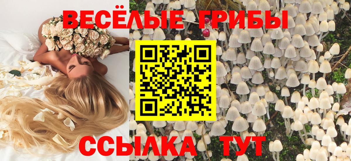 Псилоцибиновые грибы Psilocybe Карпинск