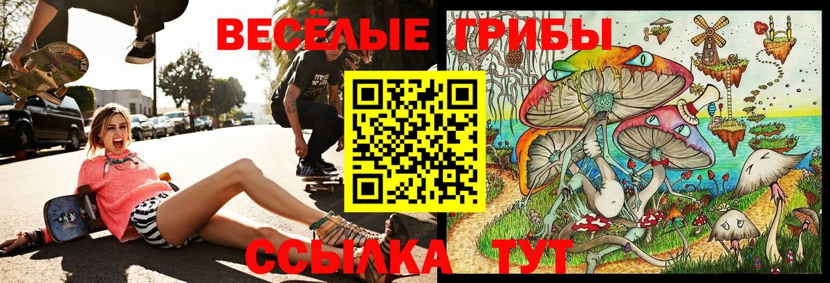 Псилоцибиновые грибы Psilocybe  Вход с VPN  Карпинск 